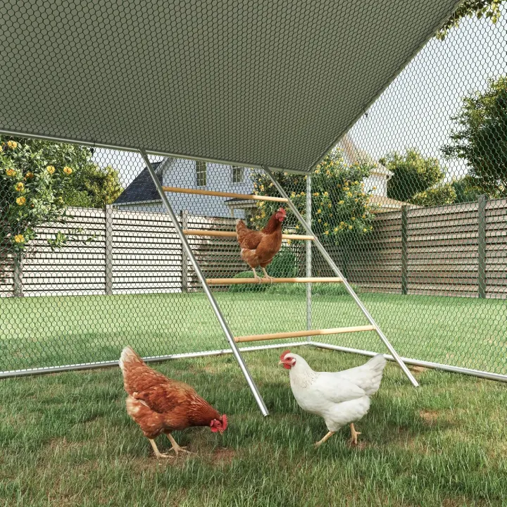 4-Tier Chicken Roost Stand — Poultry Perch for Coops
