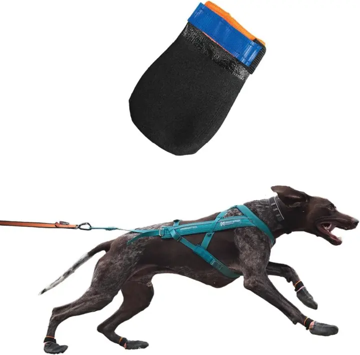 Dog Boots for Hot Pavement and Trails — 4-Pack, Medium
