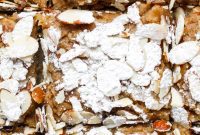 Almond Croissant Blondie Bars