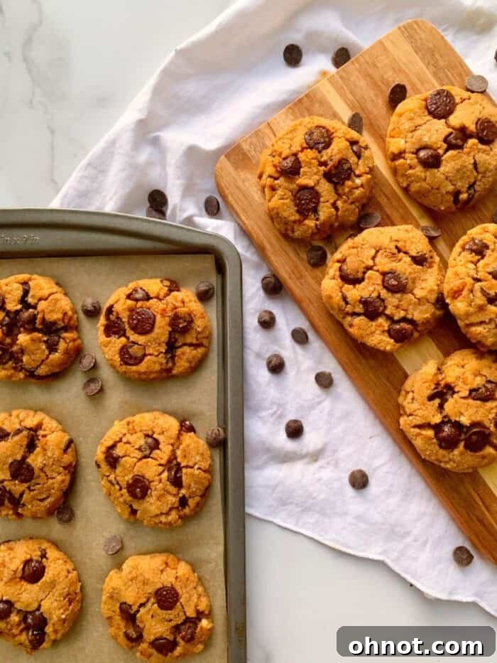 Cookies for food photography review before