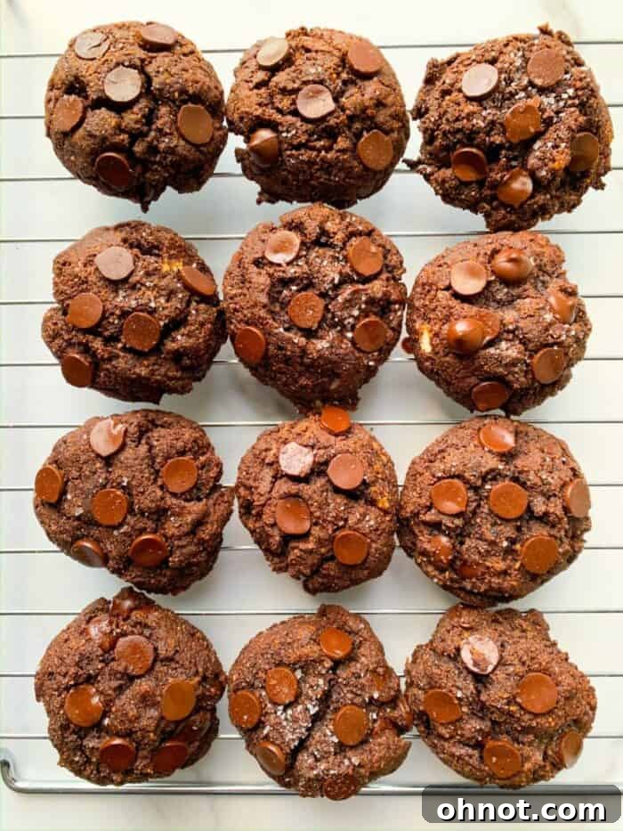 Foodtography school before and after cookie photo