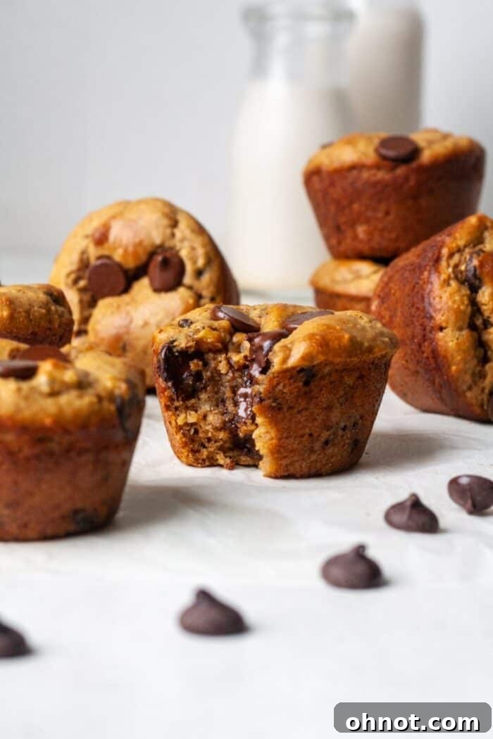 Protein muffins with bananas and chocolate chips – a delightful healthy snack.