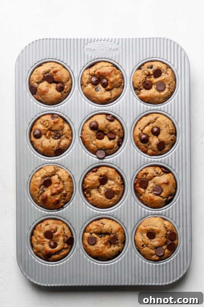 Healthy chocolate chip muffins baking in the pan.