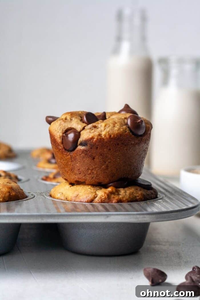 Soft and fluffy protein muffins with rich dark chocolate chips.