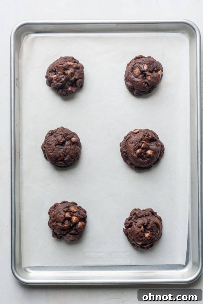 Baked double chocolate cookies on a baking pan, just out of the oven