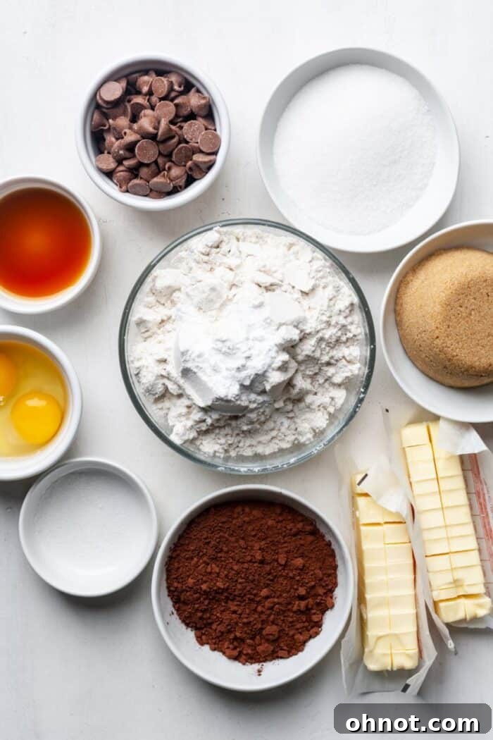 Ingredients for making gluten-free chocolate cookies laid out on a surface