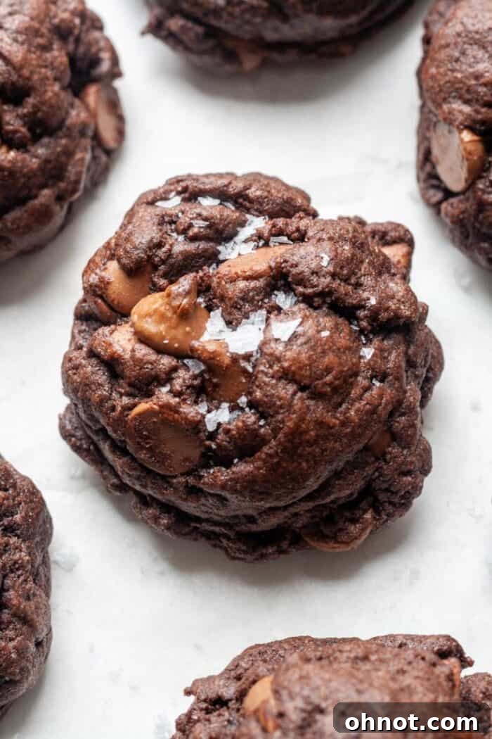 Gluten free double chocolate cookies garnished with sea salt