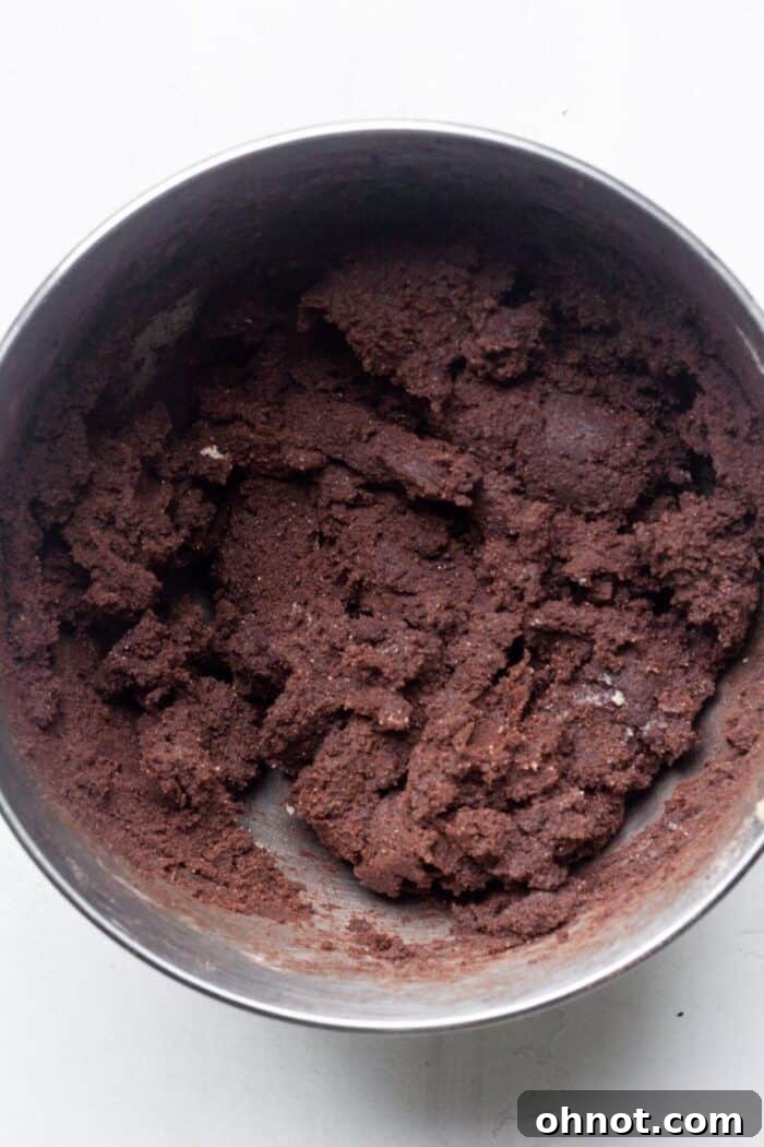 Double chocolate cookie dough after dry ingredients are mixed in