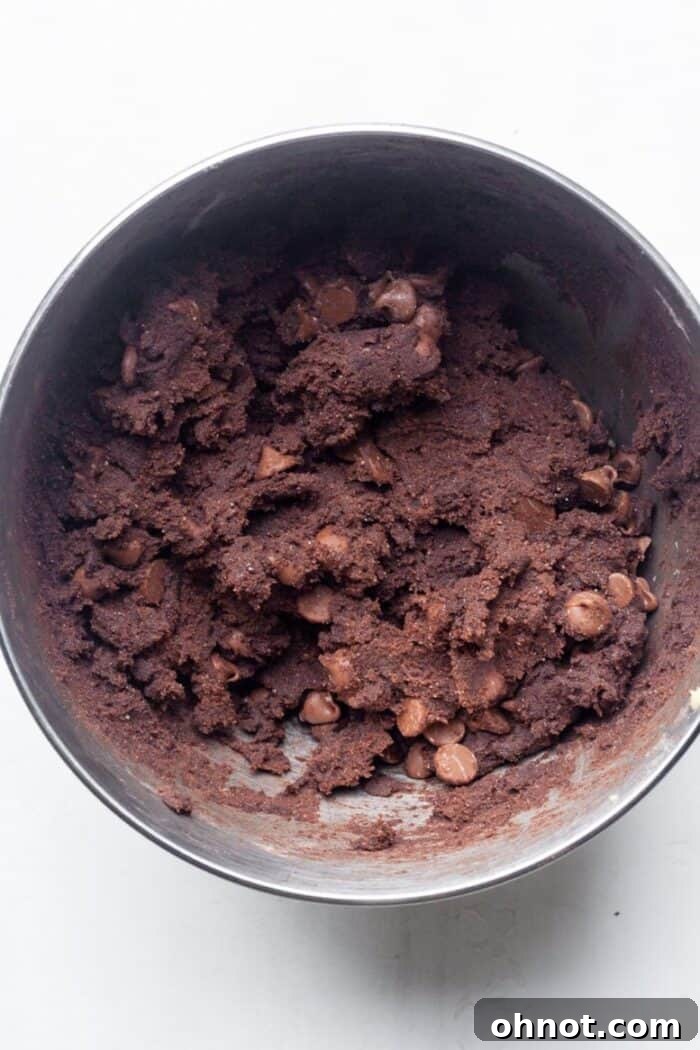 Chocolate cookie dough with dark chocolate chips folded in