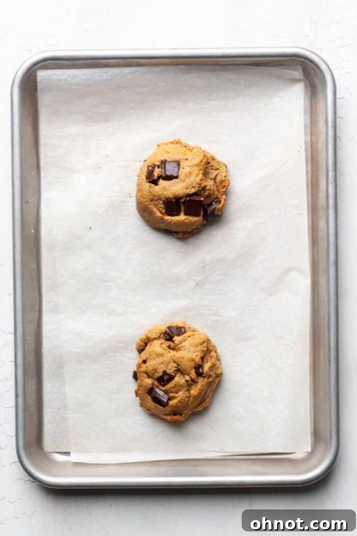 High protein vegan cookies with chocolate chunks