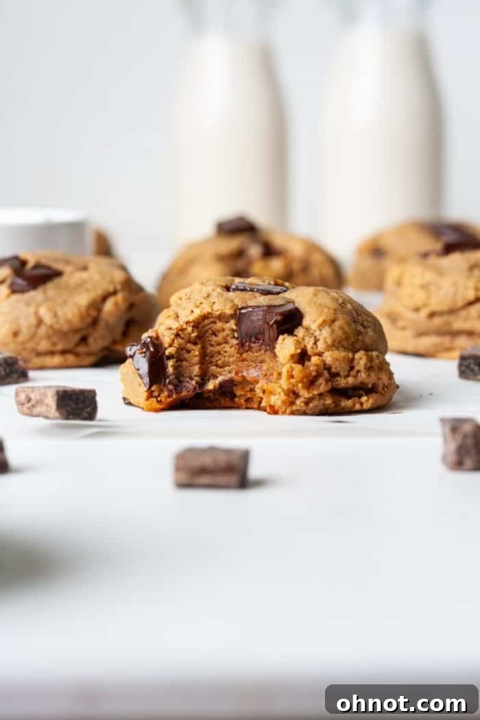 Healthy vegan cookies on pan