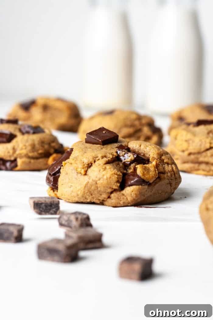 Plant based protein cookies on pan