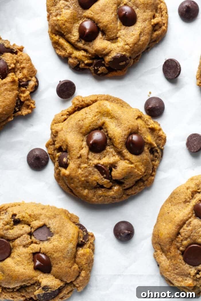 Gooey SunButter cookies with melted dark chocolate chips, ready to be enjoyed.