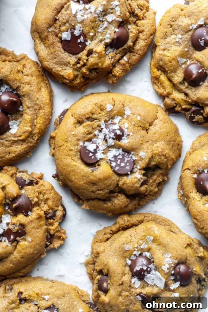 Close-up of SunButter cookies garnished with a sprinkle of sea salt.