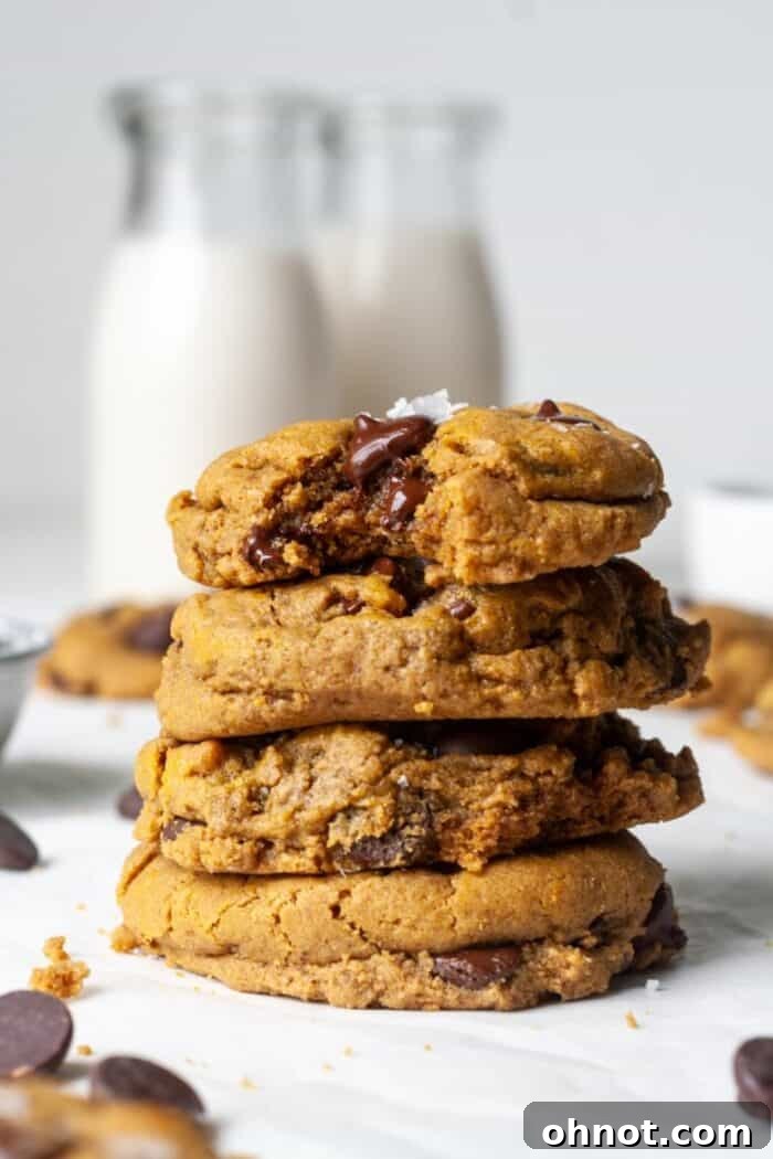 Close-up of freshly baked SunButter cookies on a cooling rack.