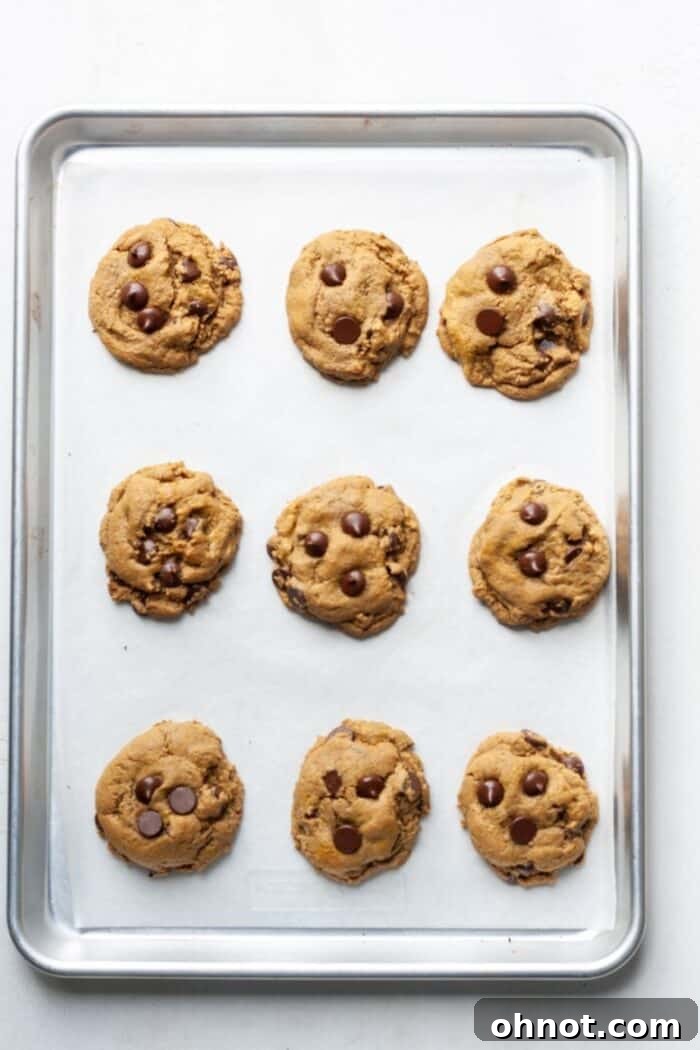 Freshly baked SunButter cookies with melted chocolate chips on a baking sheet, golden and soft.