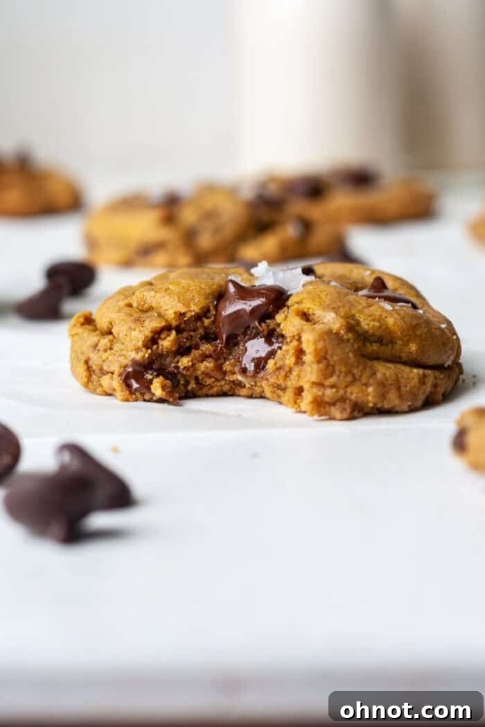 Gooey flourless SunButter cookies with melted chocolate, soft and thick.