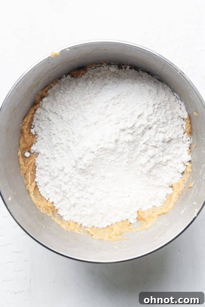 Dry ingredients (gluten-free flour, tapioca flour, baking soda) in a mixing bowl.