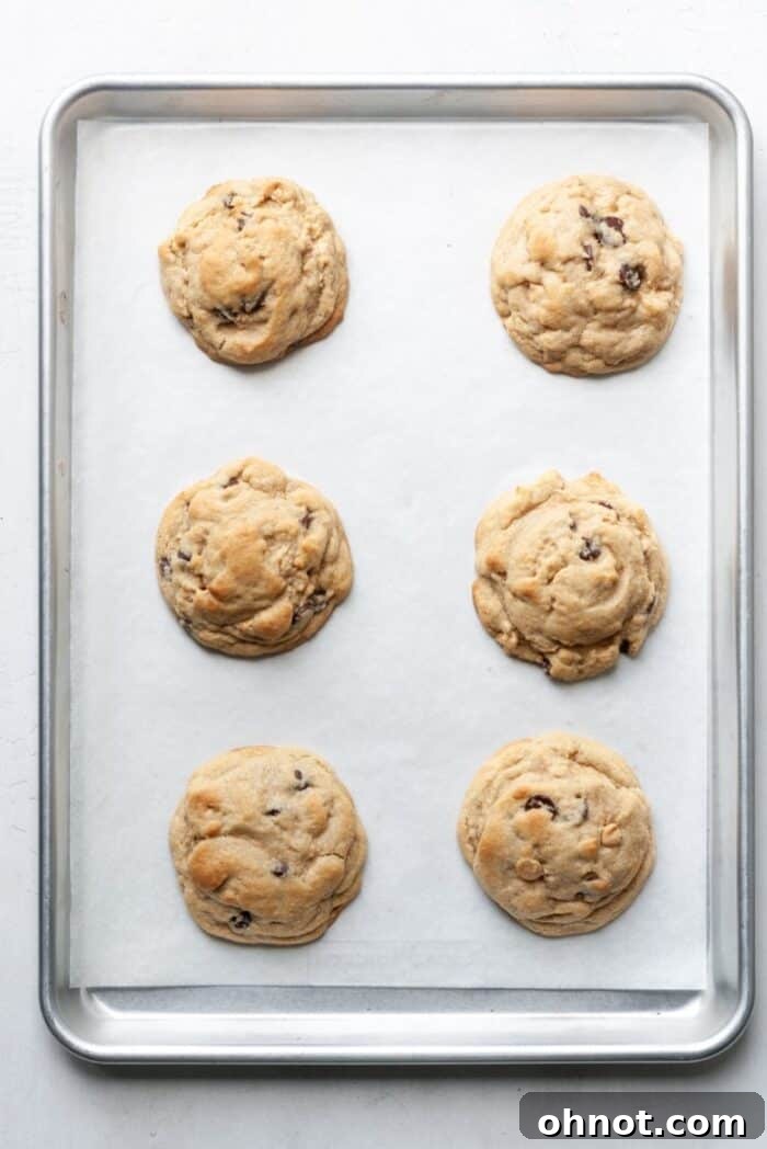 Freshly baked gluten-free peanut butter cookies on a parchment-lined baking sheet, golden and slightly puffed.