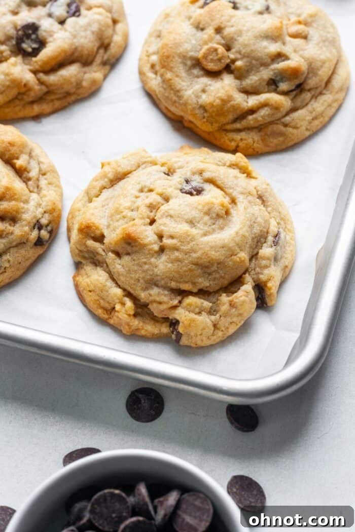 A baking sheet filled with thick, golden-brown peanut butter cookies, fresh out of the oven.