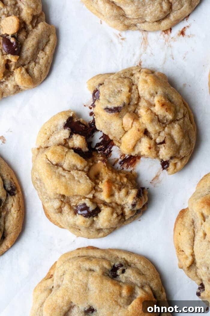 Close-up of a perfectly baked gluten-free peanut butter cookie with visible chocolate and peanut butter chips.