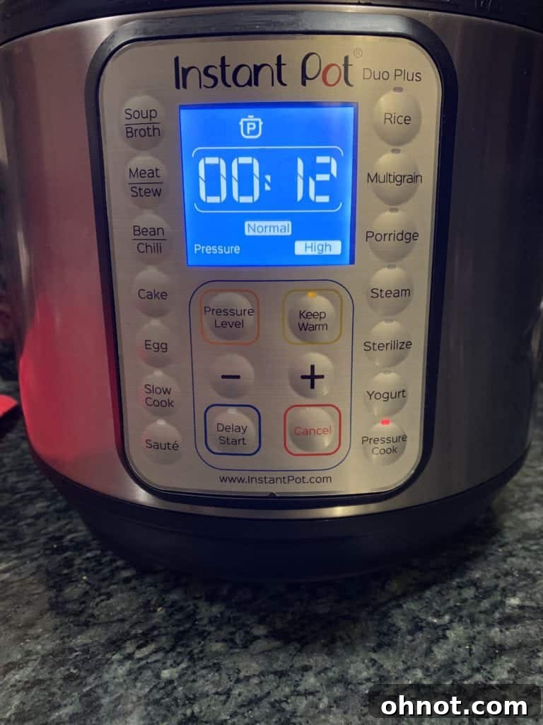 Delicious Instant Pot Chicken Stew, ready to serve