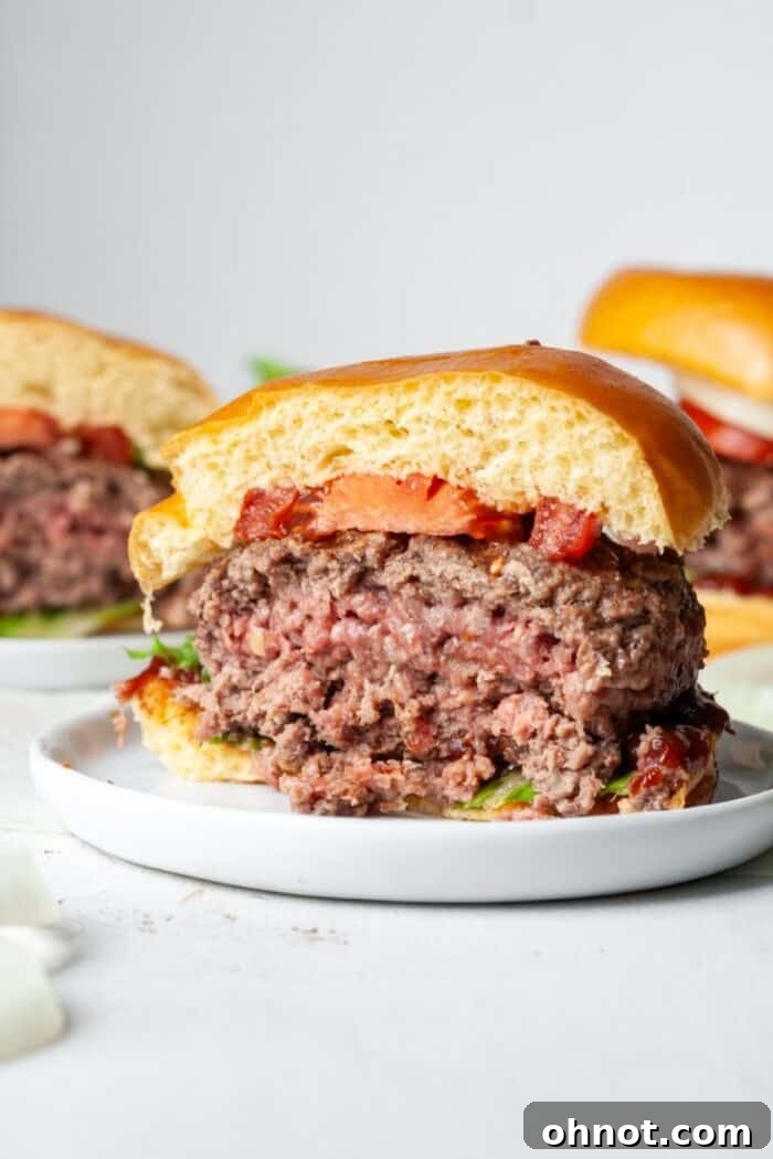 Juicy elk burgers on plate