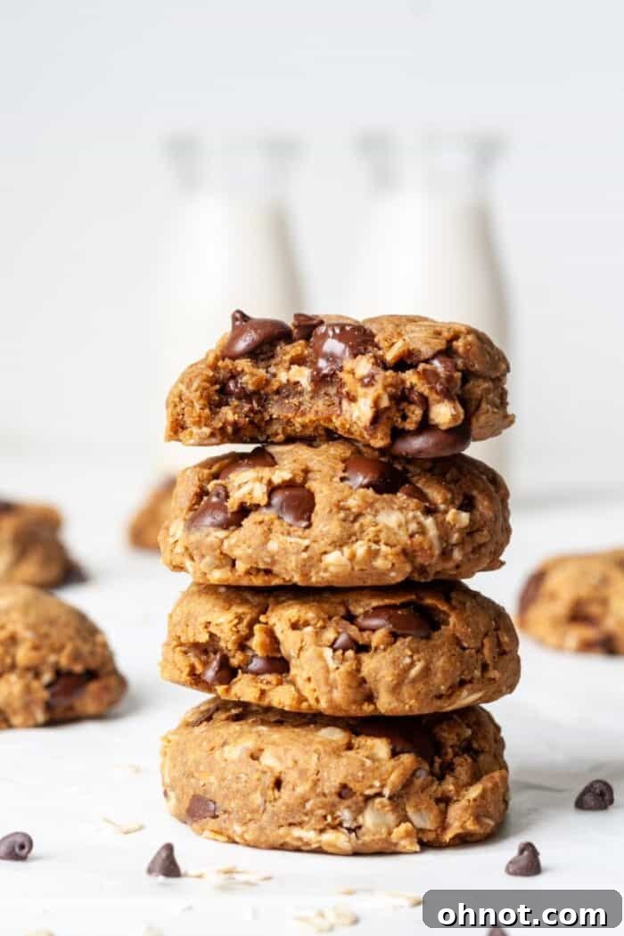Vegan peanut butter oatmeal cookies with chocolate chips, showcasing their chewy texture and rich chocolate peanut butter flavor.