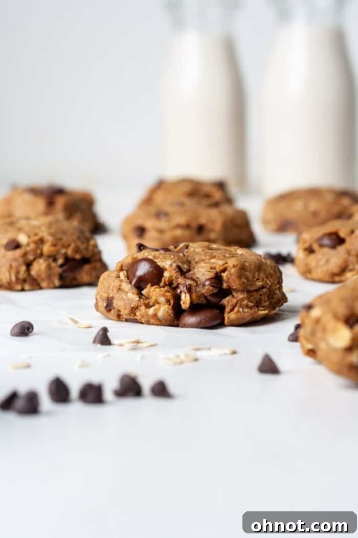 Eggless oatmeal cookies, close-up shot of the finished product on a cooling rack.