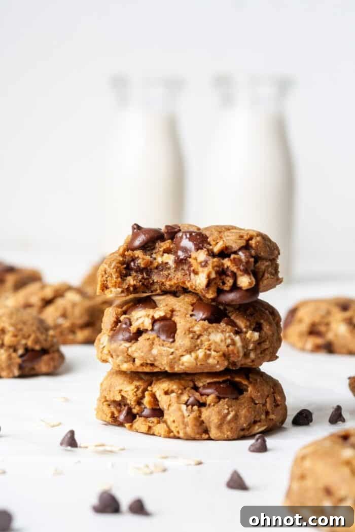Crispy Vegan peanut butter oatmeal cookies, arranged beautifully to highlight their golden edges.