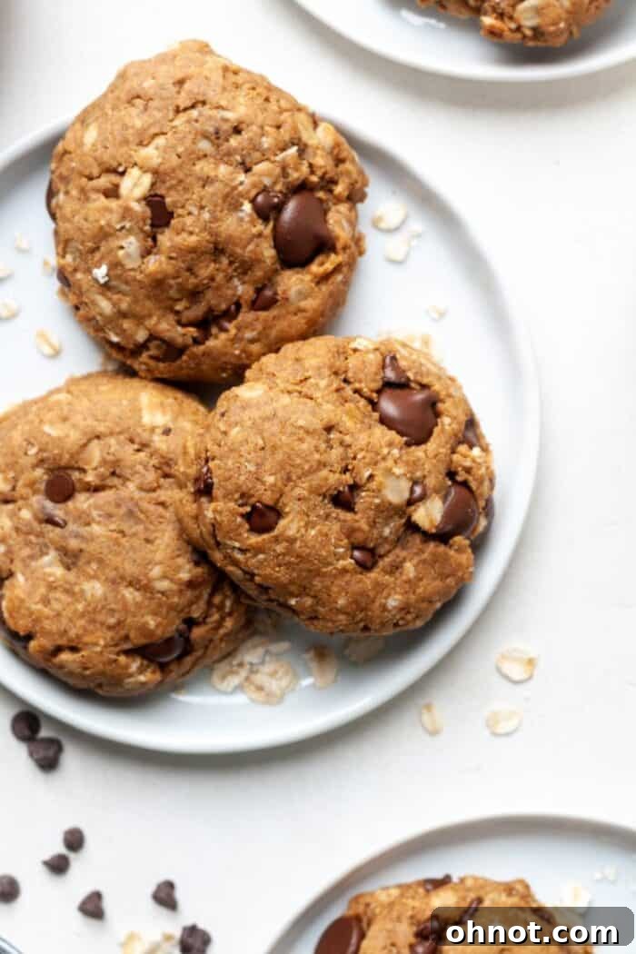 Vegan peanut butter cookies with chocolate chips, captured up close to highlight their inviting appearance.