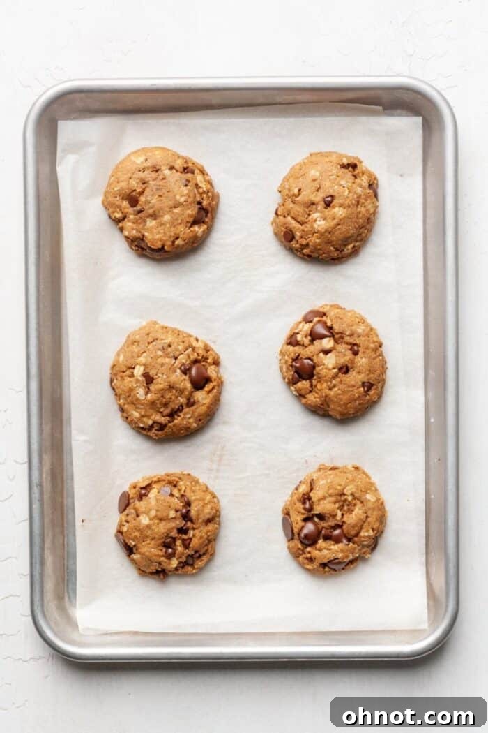 Cookies with oatmeal on a baking pan, fresh out of the oven and looking perfectly baked.