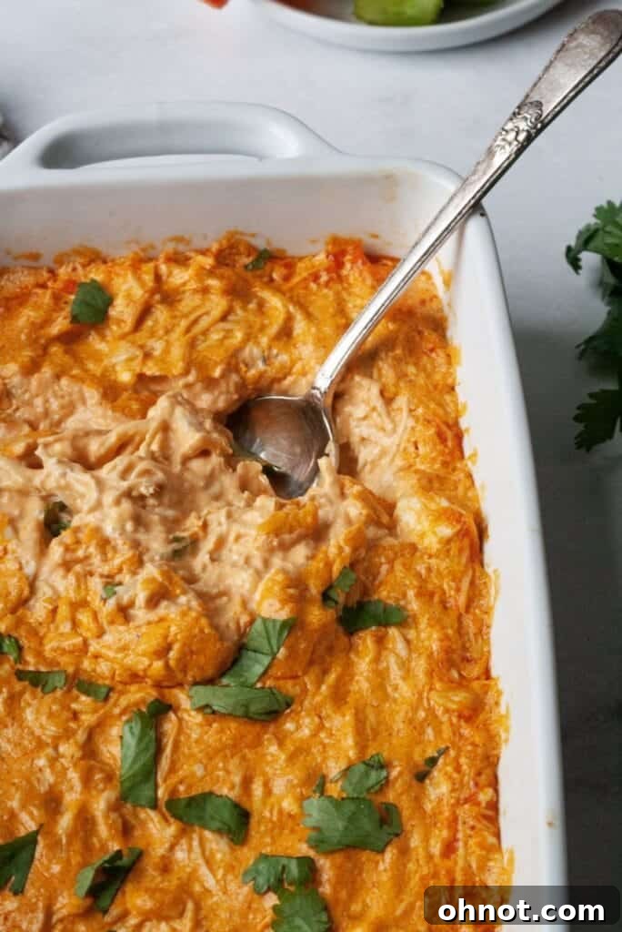 Dairy-free buffalo chicken dip with a spoon, showing its creamy texture, ready to be enjoyed.
