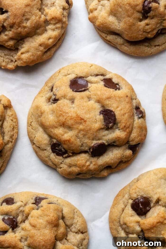 Perfectly baked eggless chocolate chip cookies on parchment paper, showcasing their thick and gooey texture.