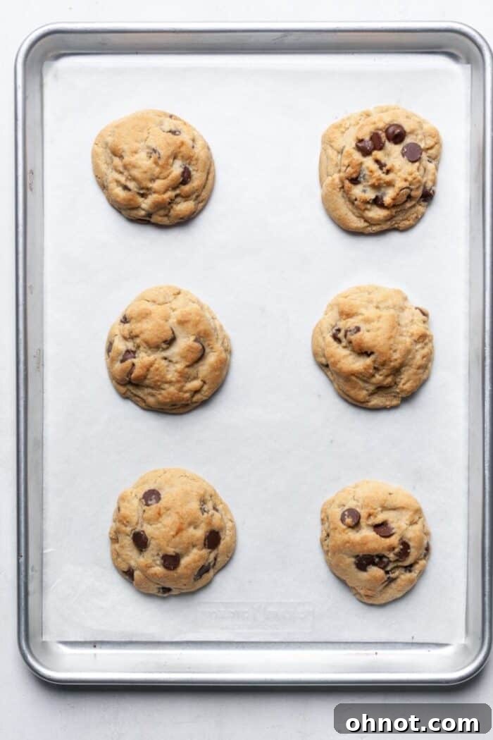 A tray of freshly baked egg free chocolate chip cookies, still on the pan, showcasing their golden edges.