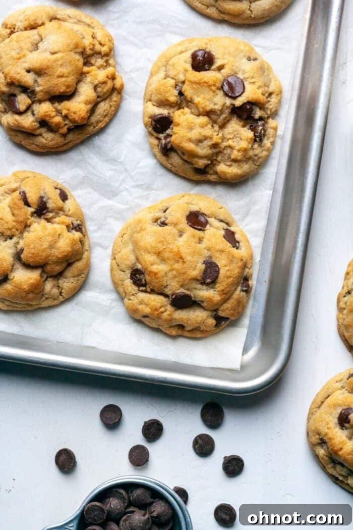 A single egg free gluten free cookie with melted chocolate chips, placed on a white background.