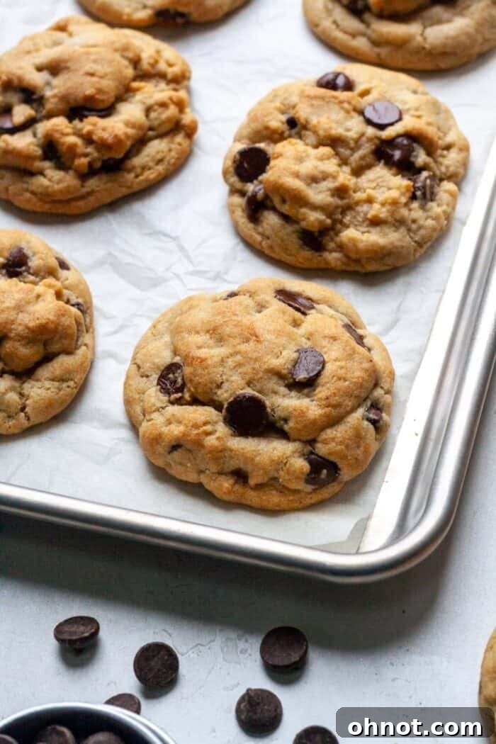A baking pan filled with golden-brown cookies without eggs, fresh from the oven, cooling slightly.