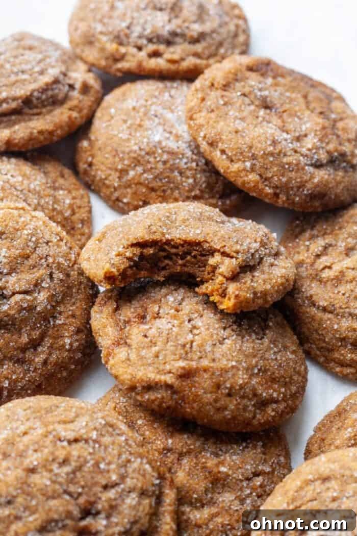 Close-up of warmly spiced, chewy ginger cookies.