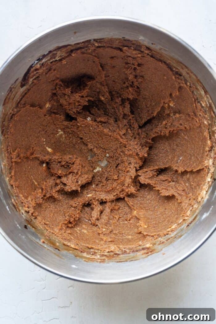 Well-combined molasses cookie dough mixture in a bowl.