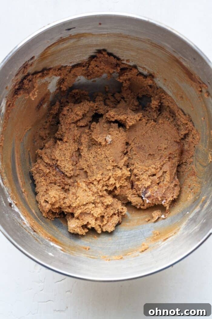 Thick, spiced molasses cookie dough ready for shaping.