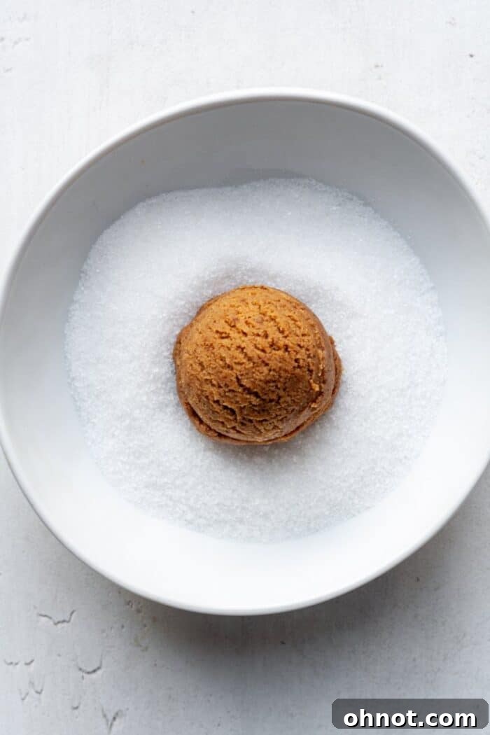 Rolling a ball of vegan ginger cookie dough in granulated sugar.