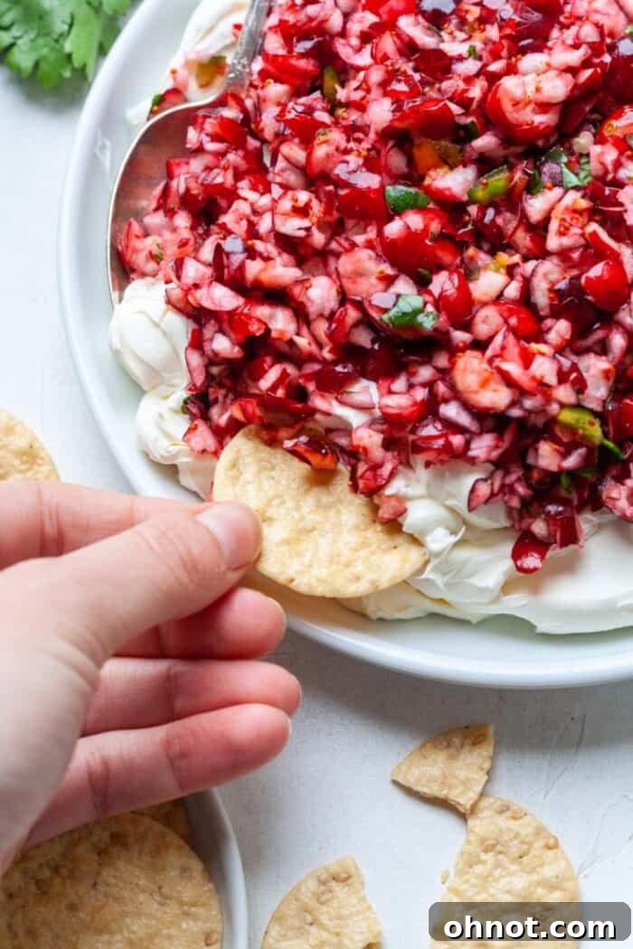 Cranberry jalapeño dip on a white plate, surrounded by an assortment of crackers and a sprig of fresh cilantro