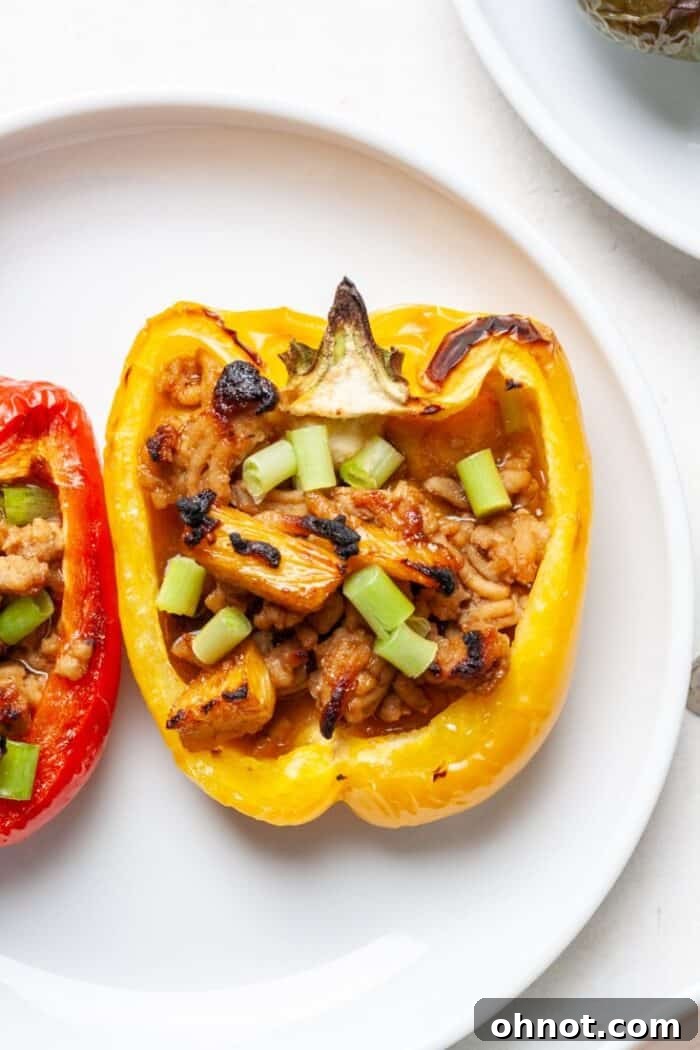Two Paleo stuffed peppers on a plate, garnished with fresh herbs.