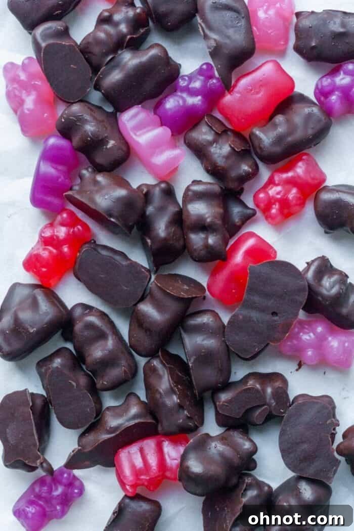 Dark chocolate covered gummy bears