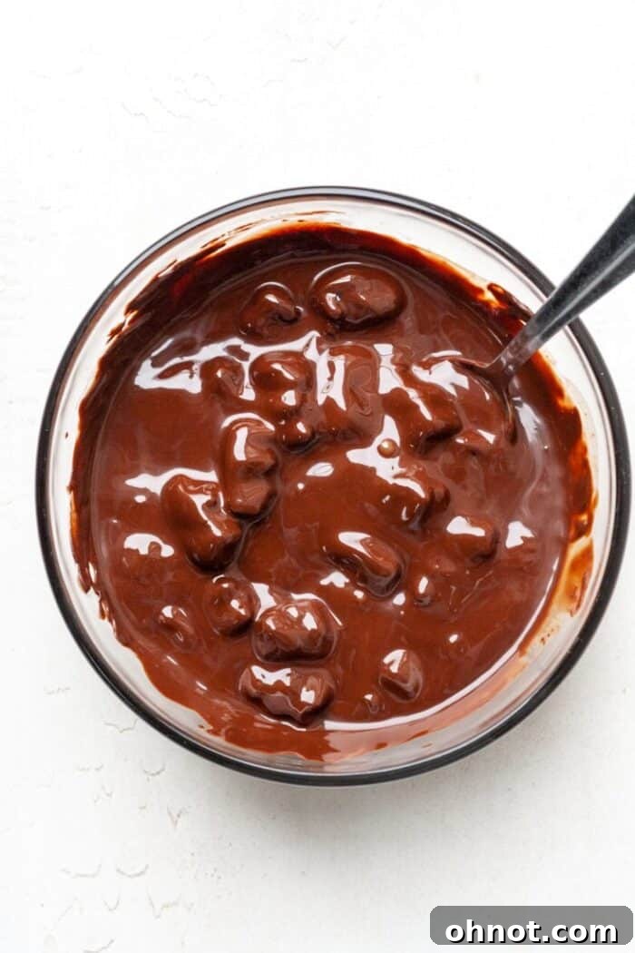 Melted dark chocolate in bowl with gummy bears
