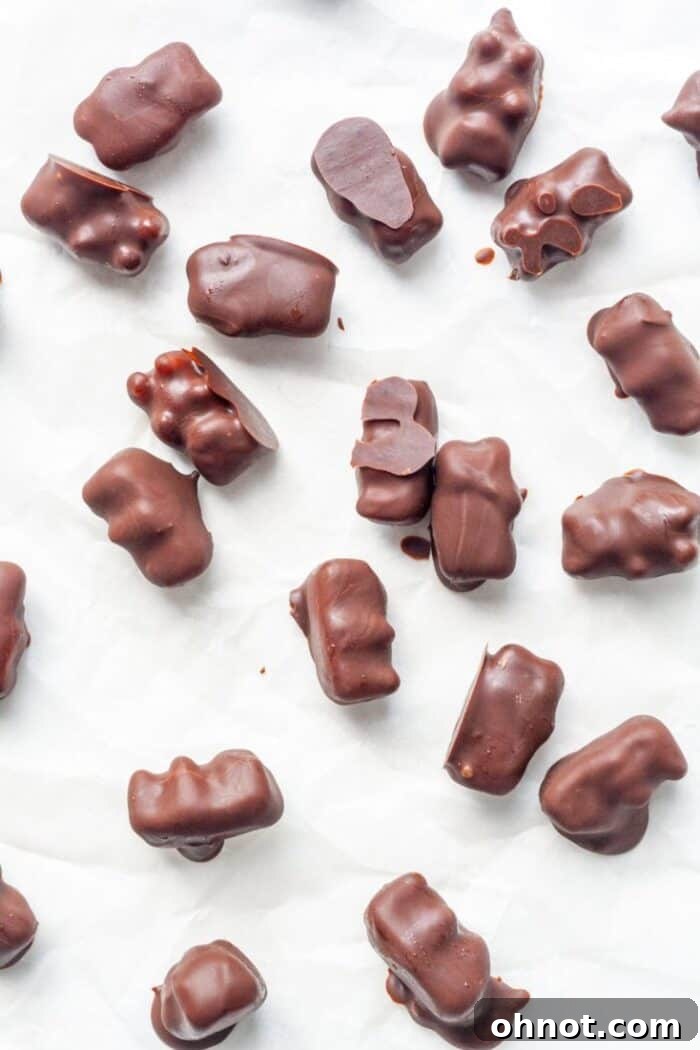Chocolate candy bites on pan