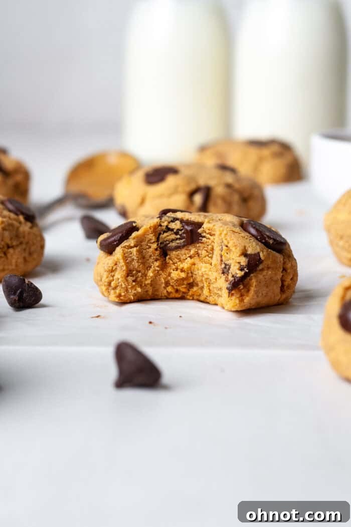 Close-up of a perfectly baked protein peanut butter chocolate chip cookie, showcasing its soft interior, visible melted chocolate, and golden-brown edges.