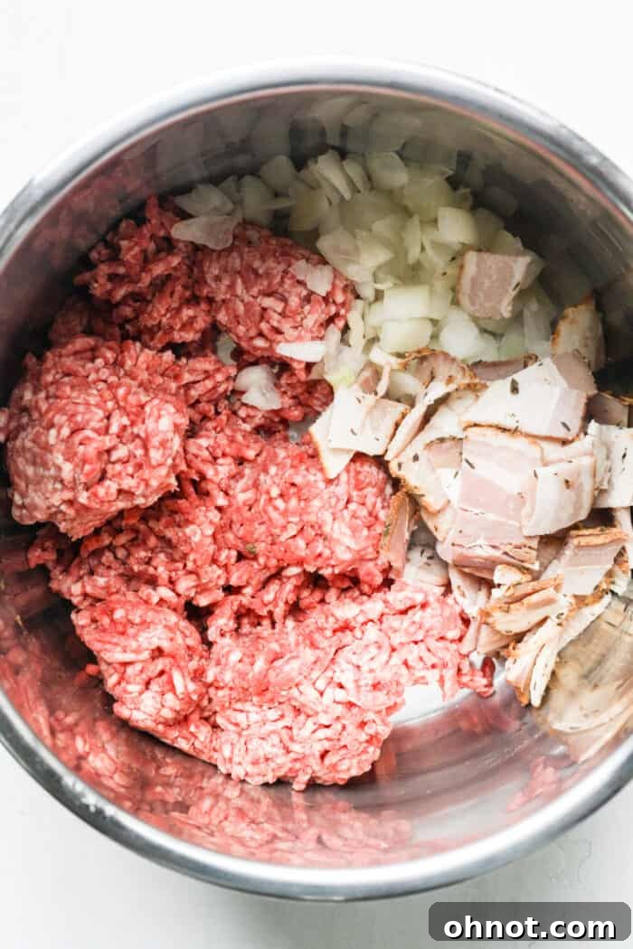 Meat and onions in pot