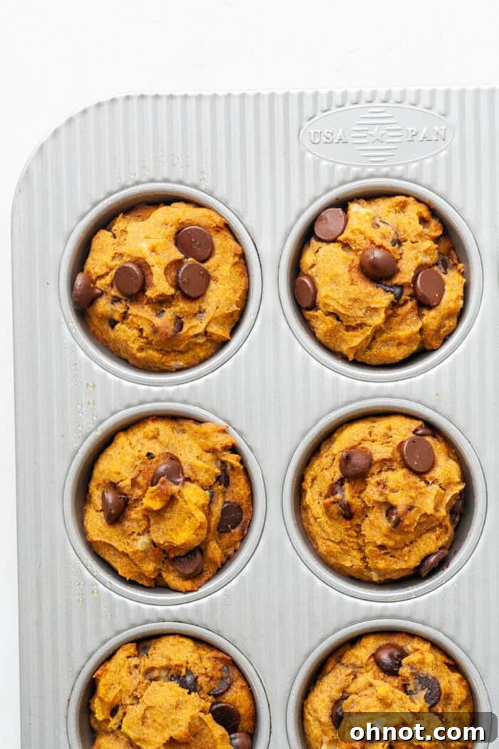 Baked pumpkin banana muffins with chocolate chips