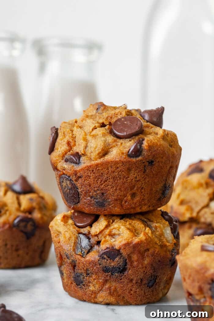 Healthy muffins with dark chocolate chips
